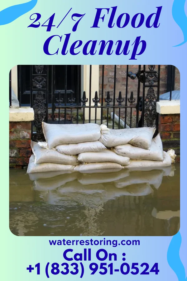 24/7 Flood Cleanup in Forest Home, NY