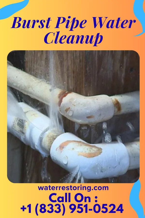 Burst Pipe Water Cleanup in Forest Home, NY