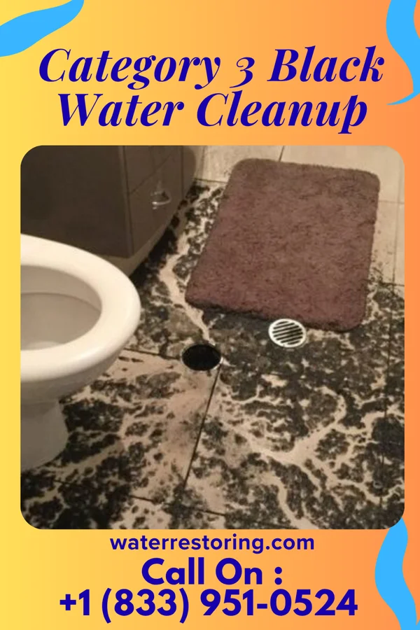 Category 3 Black Water Cleanup in Forest Home, NY
