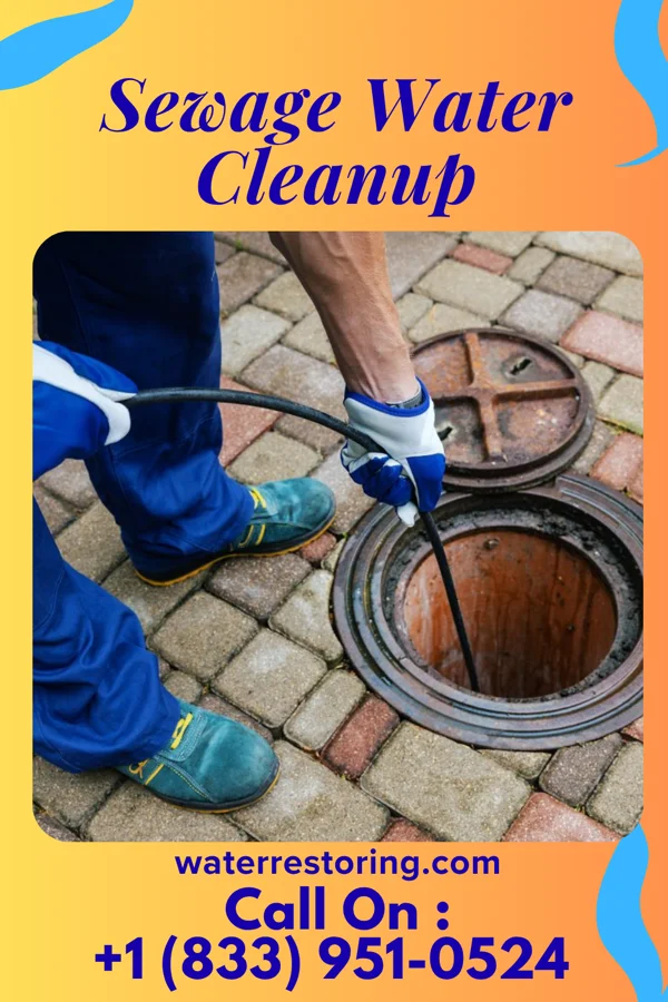 Sewage Water Cleanup in Forest Home, NY